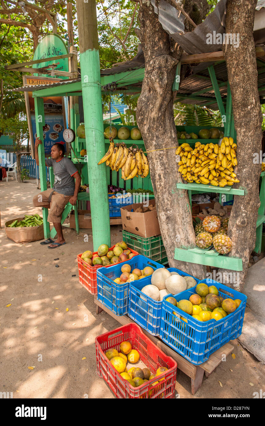 América Central, Honduras, Roatán, West End Village, el hombre vendiendo frutas Foto de stock