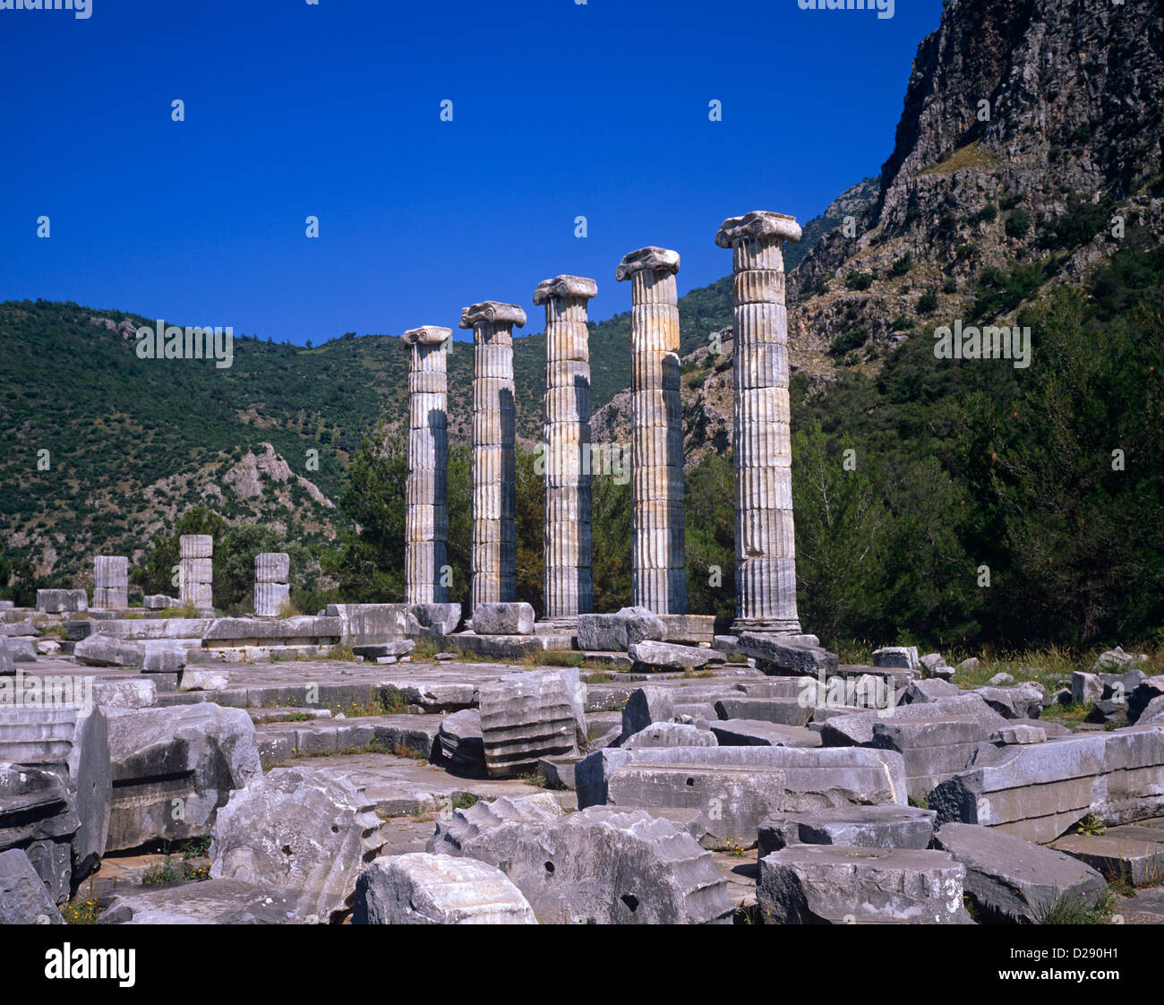 Athena polias fotografías e imágenes de alta resolución Alamy