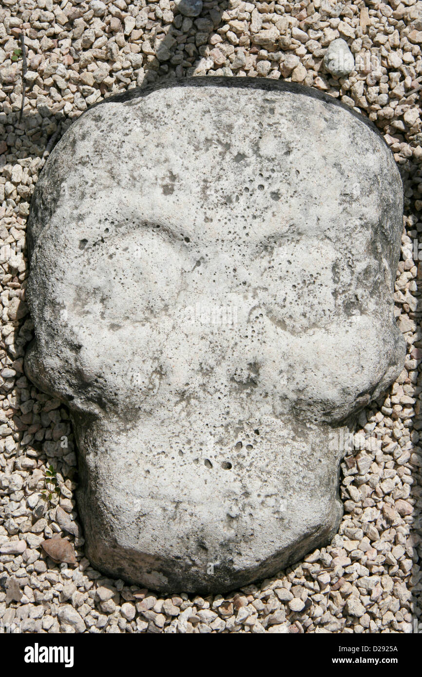 Cráneo incrustado en piedra de pelota en Cobá Ruinas Mayas. México Foto de stock