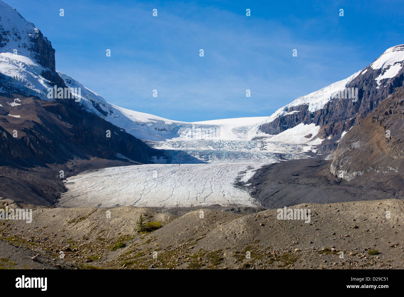 Glaciar Athebasca parte del campo de hielo de Columbia a lo largo de la carretera Icefields Parkway en el Parque Nacional de Jasper en Alberta, Canadá Foto de stock