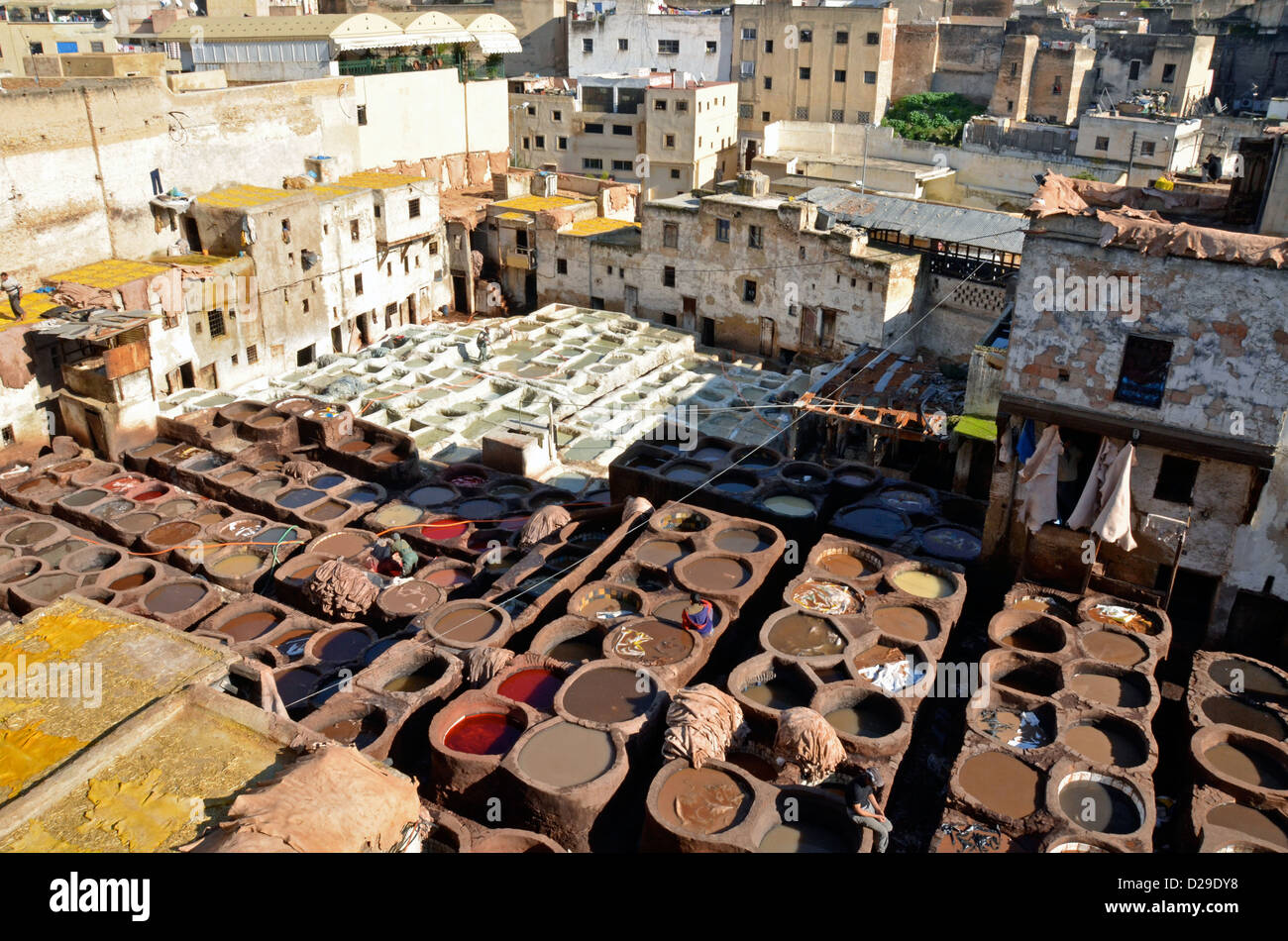 Los hombres que trabajan en las curtidurías, Fez, Marruecos Foto de stock