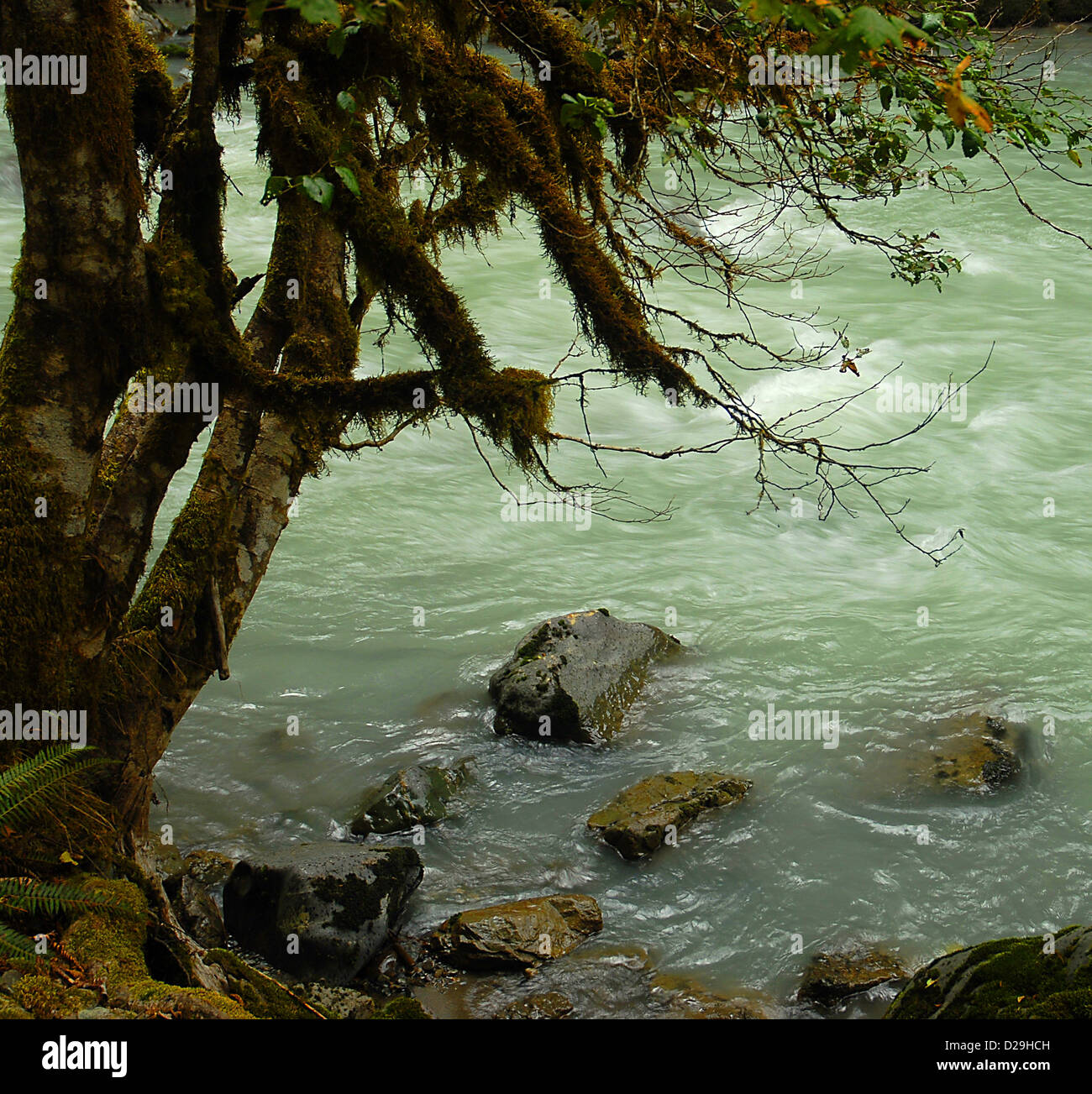 Río Nooksack, Cascade Range Foto de stock