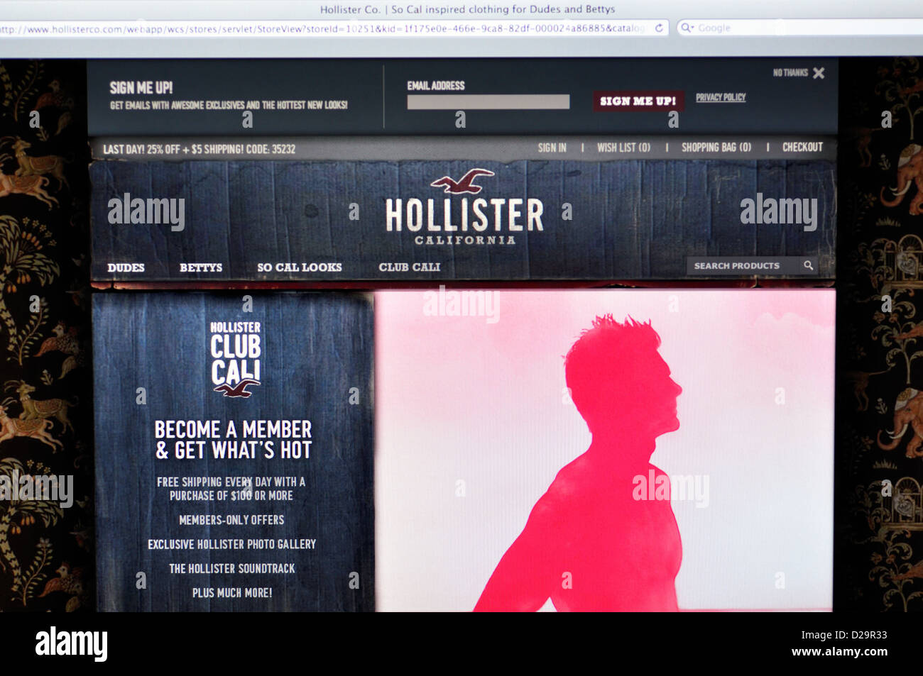 hollister website