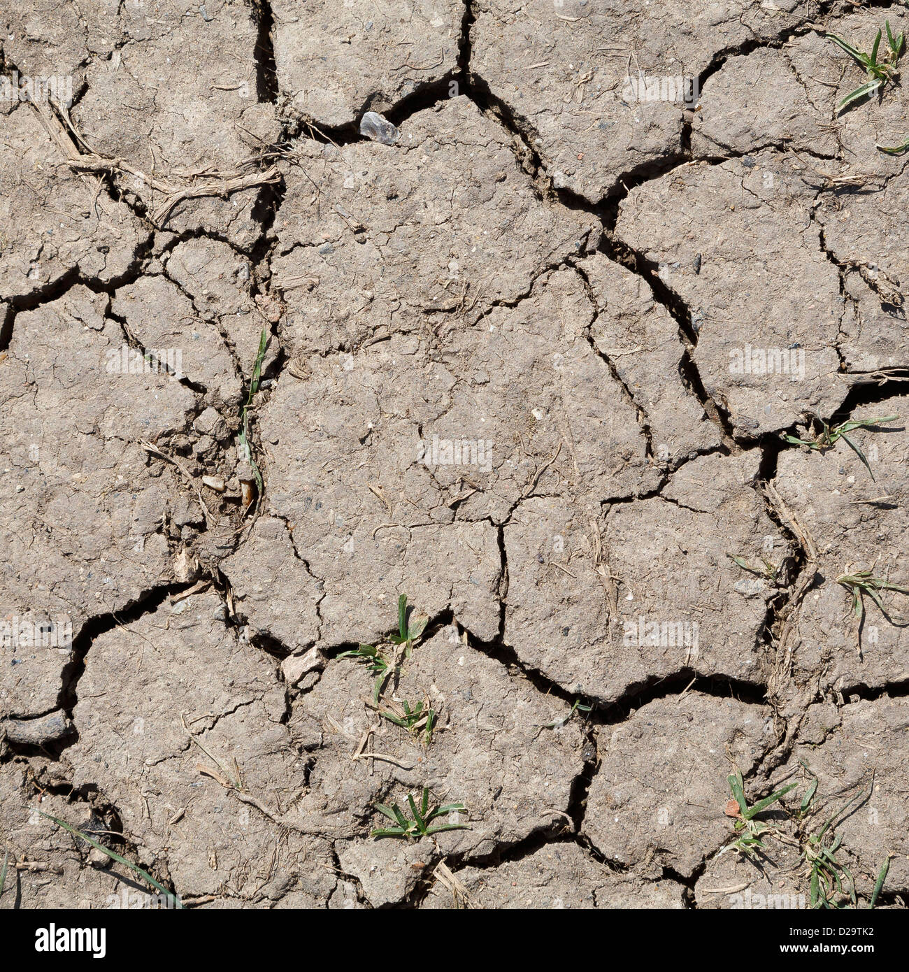 Marrón tierra reseca con grietas debido al clima seco Foto de stock