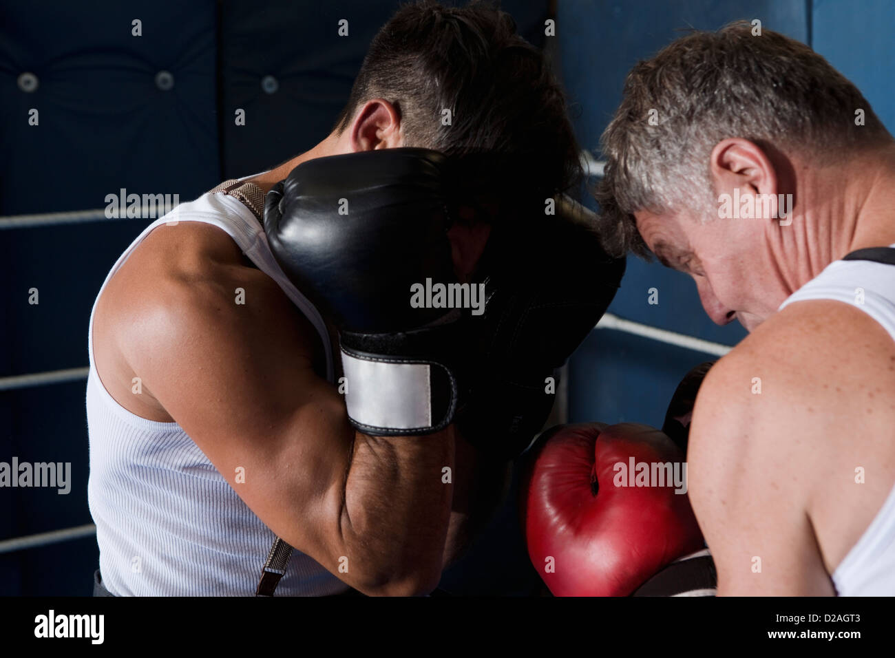 Los boxeadores de sparring en la corona Foto de stock