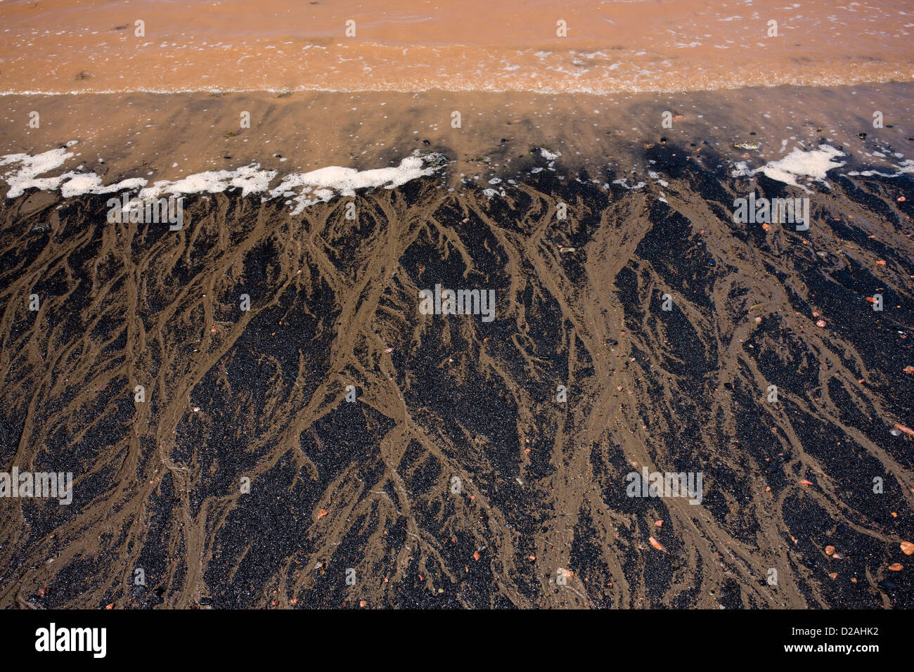 La arena negra de carbón y el agua del mar rojo en el fósil Joggins acantilados, Nova Scotia, Canadá Foto de stock