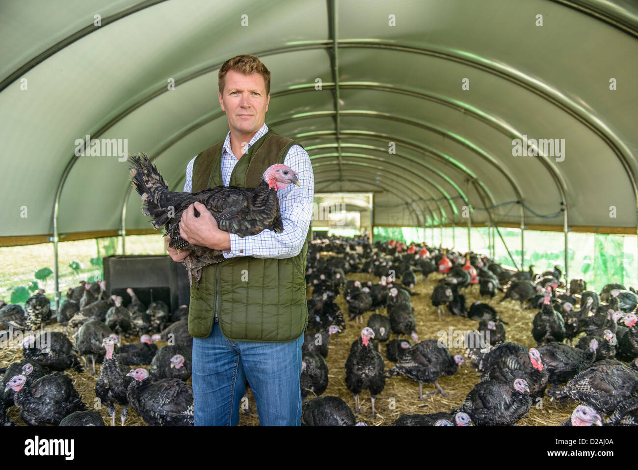 Los agricultores titulares de Turquía en el granero Foto de stock