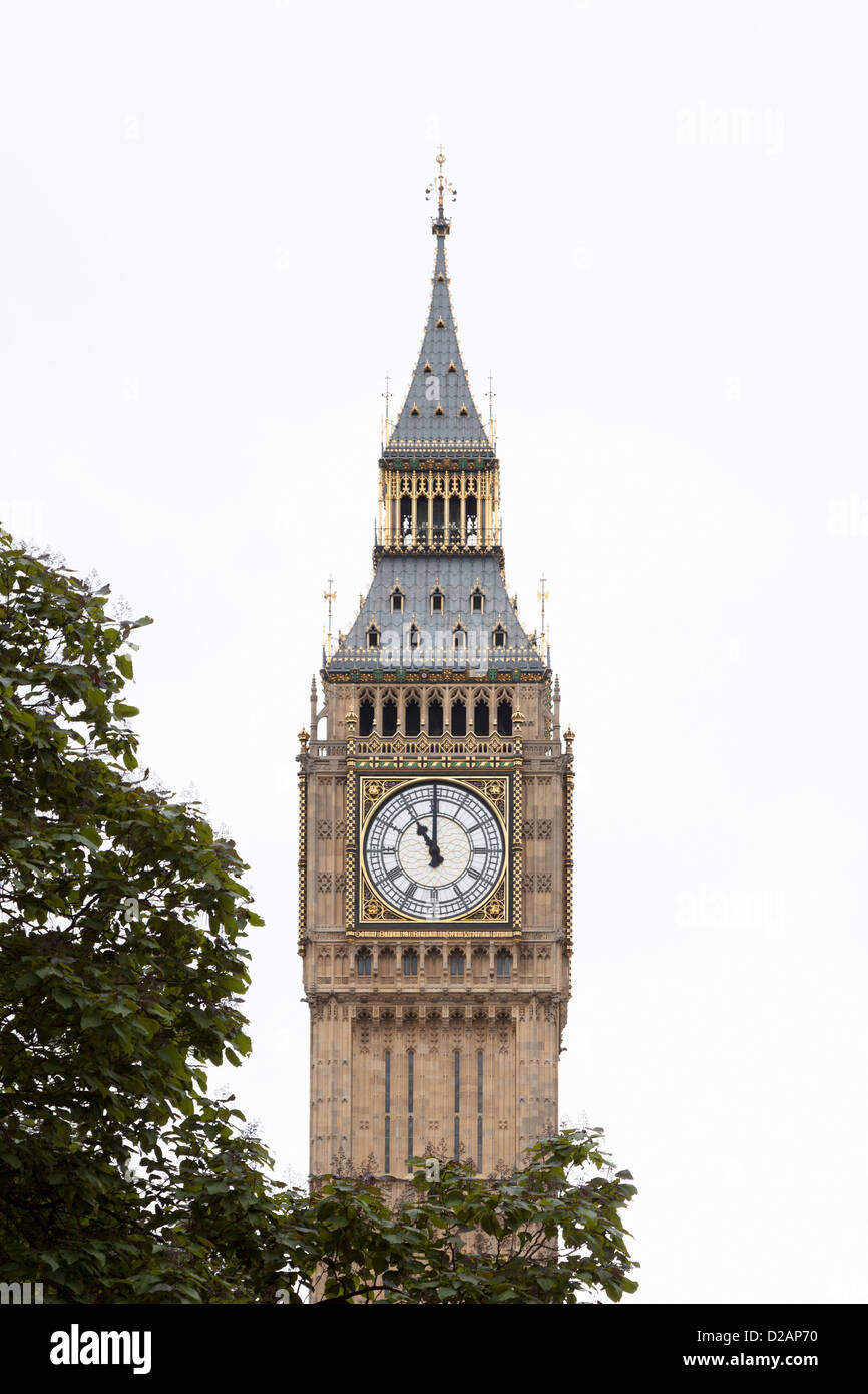 Big Ben torre del reloj con árbol Foto de stock