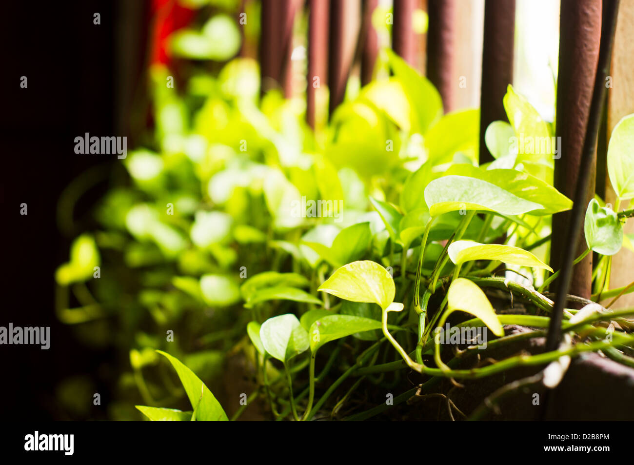 Escena abstracta en un café, para mañana relajada y conceptos. Foto de stock