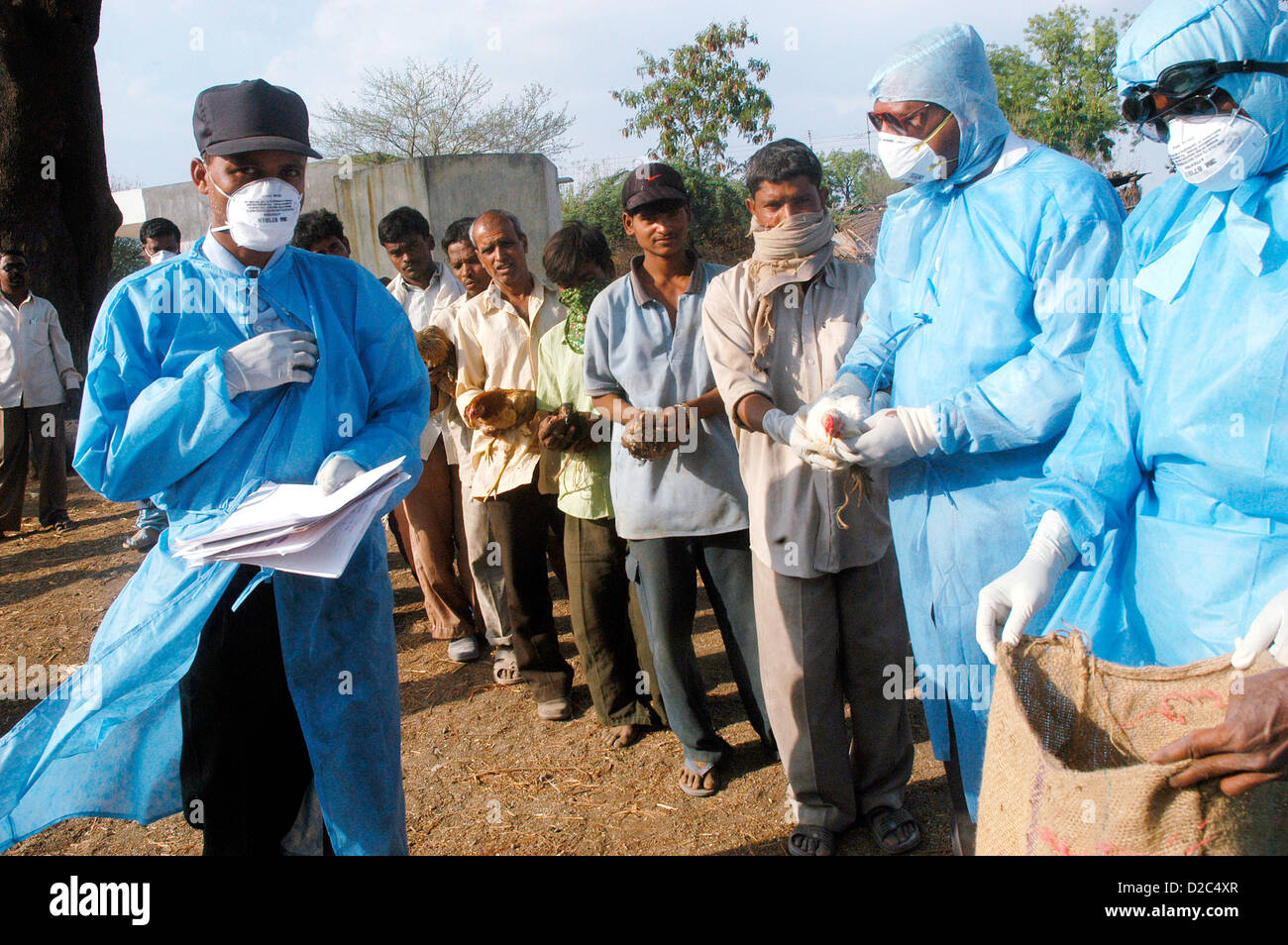Los aldeanos en cola espera entregar la avicultura doméstica los trabajadores de salud del Gobierno para el sacrificio de los pollos infectados en el patio Foto de stock