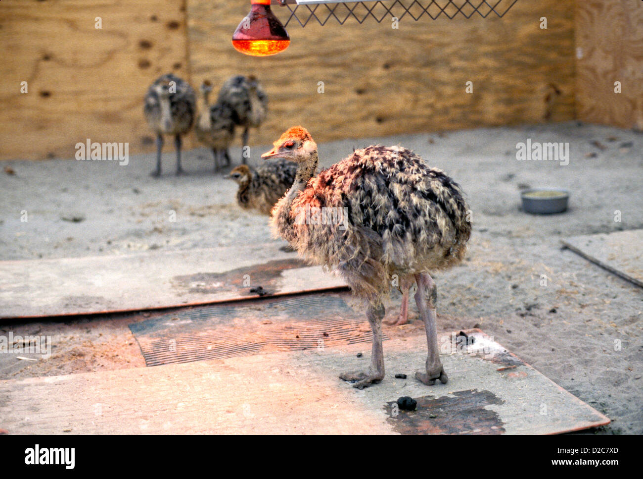 Conewango valley nueva york fotografías e imágenes de alta resolución Alamy