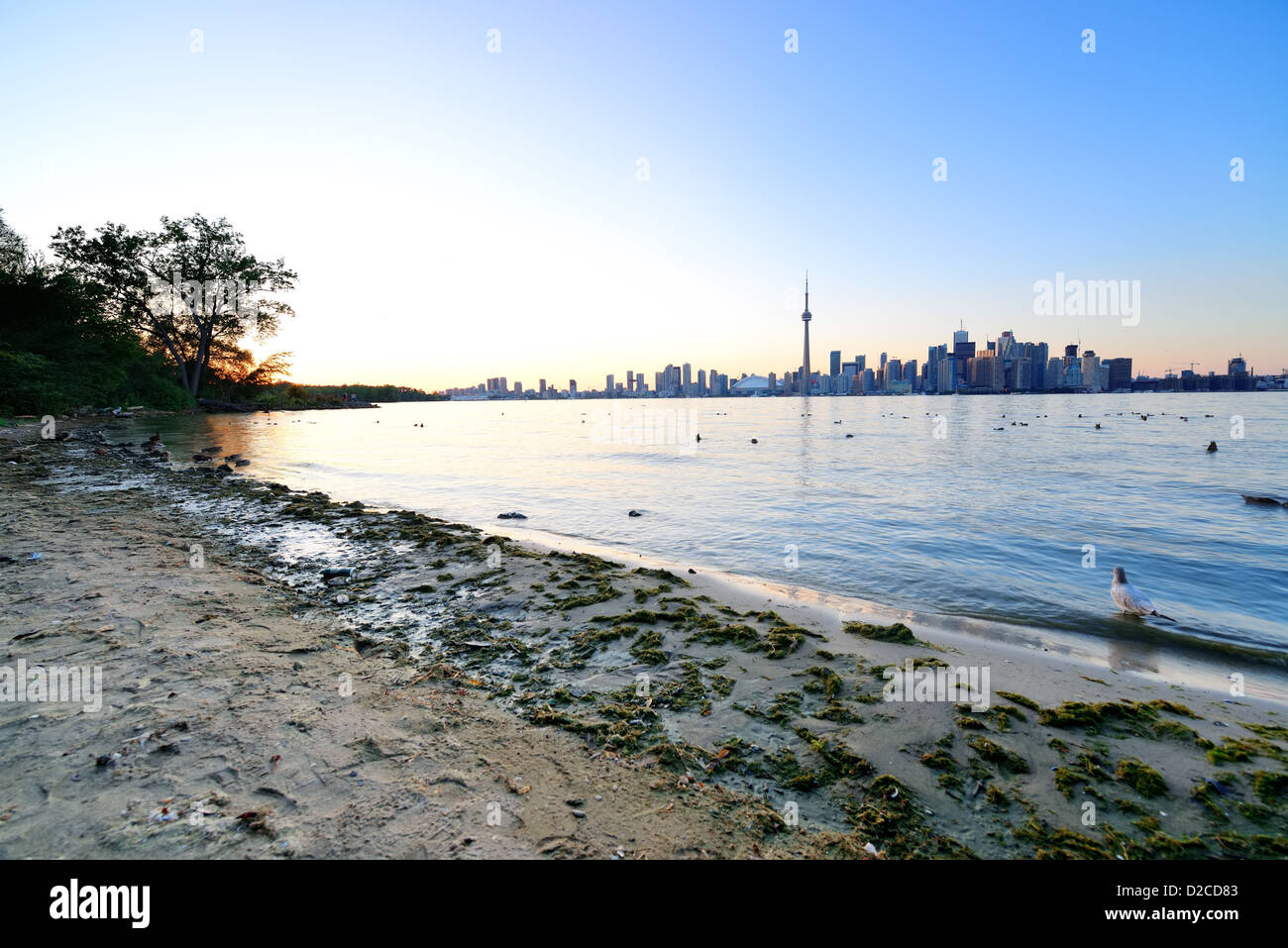 Horizonte de Toronto en el día por el lago con la arquitectura urbana. Foto de stock