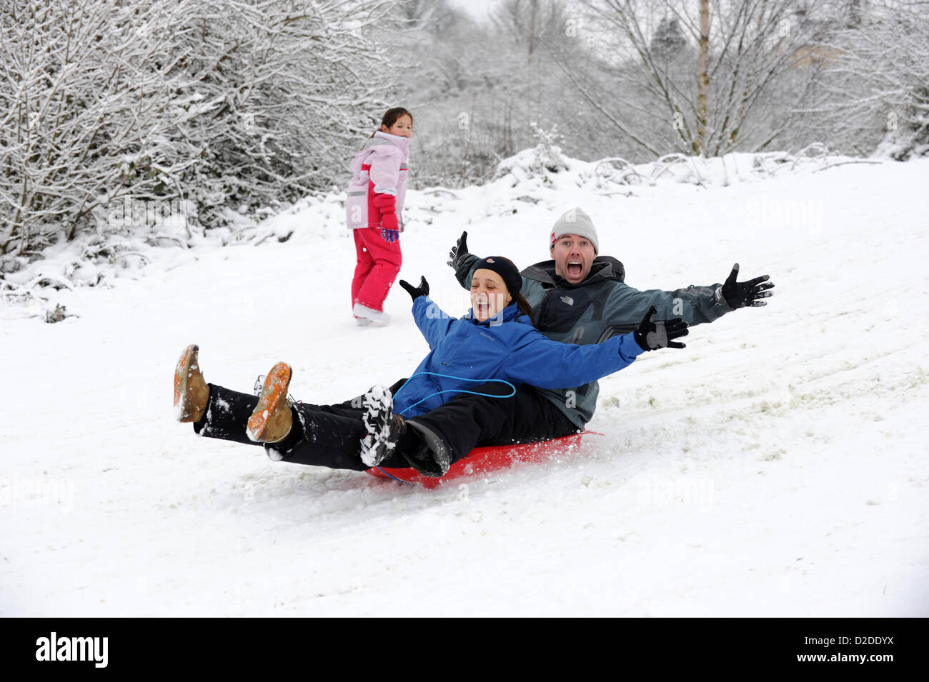 Trineos en pareja en la nieve Shropshire UK. Invierno nevado Gran Bretaña condiciones meteorológicas inviernos británicos diversión familia trineos Foto de stock