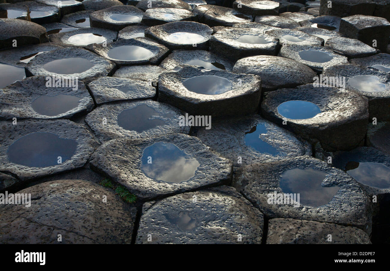 Detalle de las formaciones de roca basáltica hexagonal de la Calzada del Gigante, Condado de Antrim, Irlanda del Norte. Foto de stock