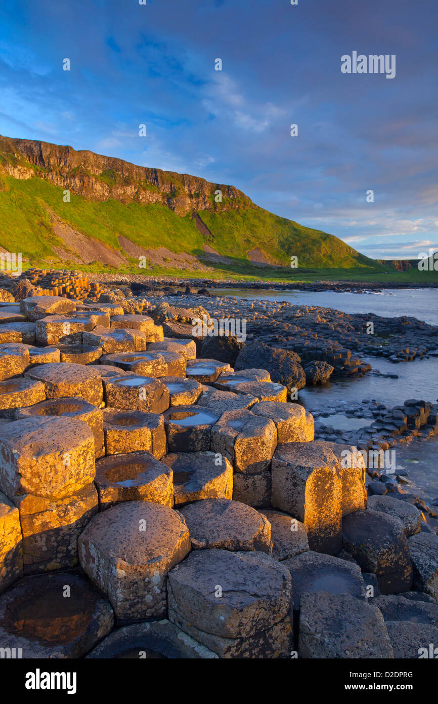Luz del atardecer sobre la Calzada del Gigante, Condado de Antrim, Irlanda del Norte. Foto de stock
