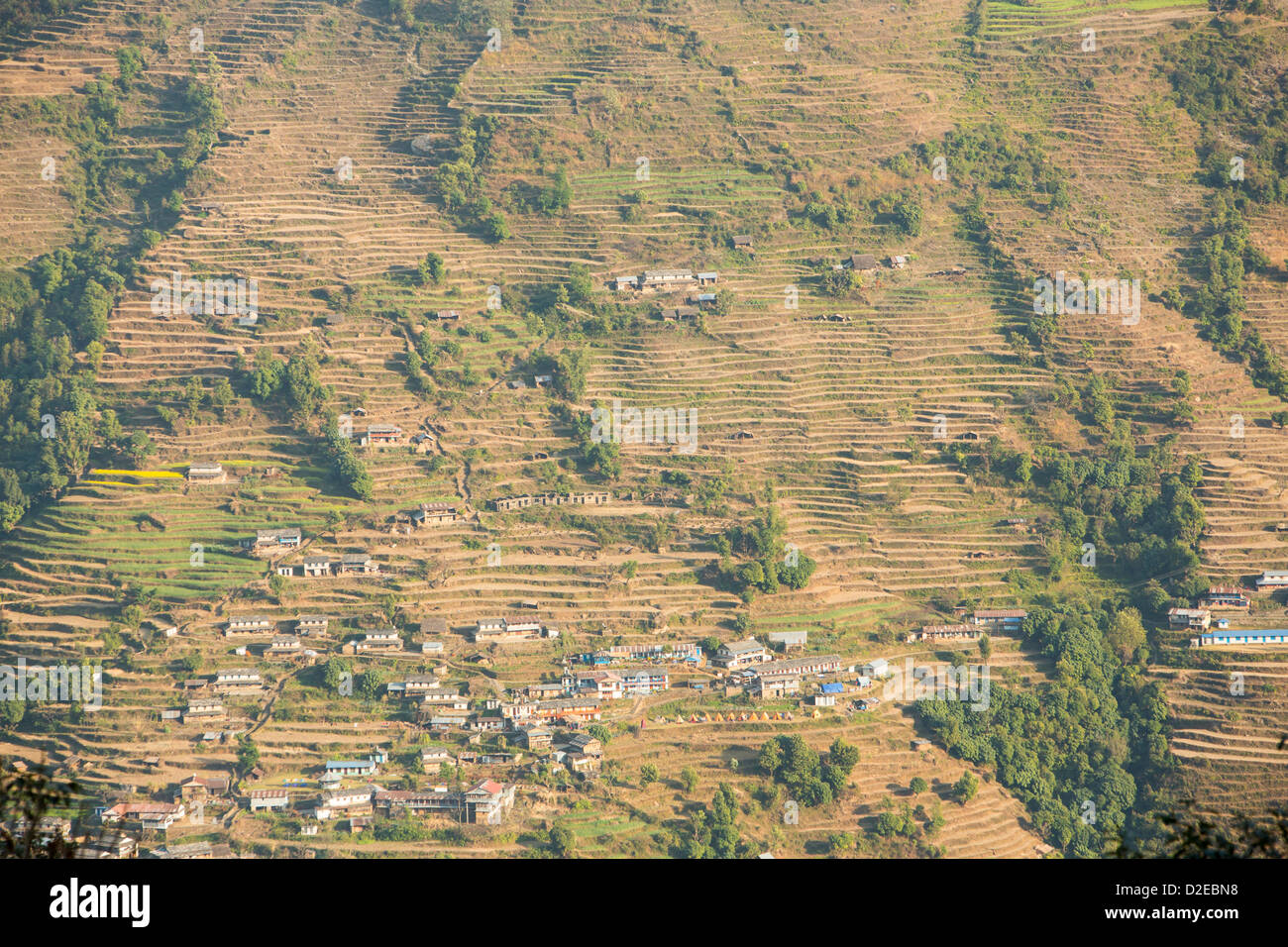 La agricultura de subsistencia en el Annapurna Himalaya en Nepal. El abancalamiento se ha desarrollado a lo largo de los siglos para cultivar esta tierra empinada de la montaña, mirando hacia la aldea de Landruk. Foto de stock