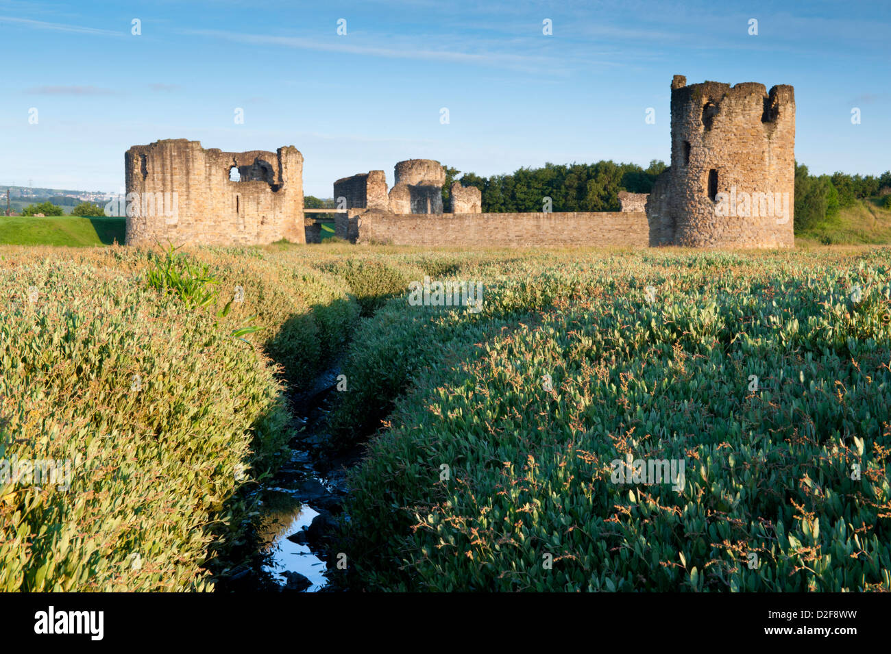 Castillo de Flint, Flint, Flintshire, North Wales, REINO UNIDO Foto de stock
