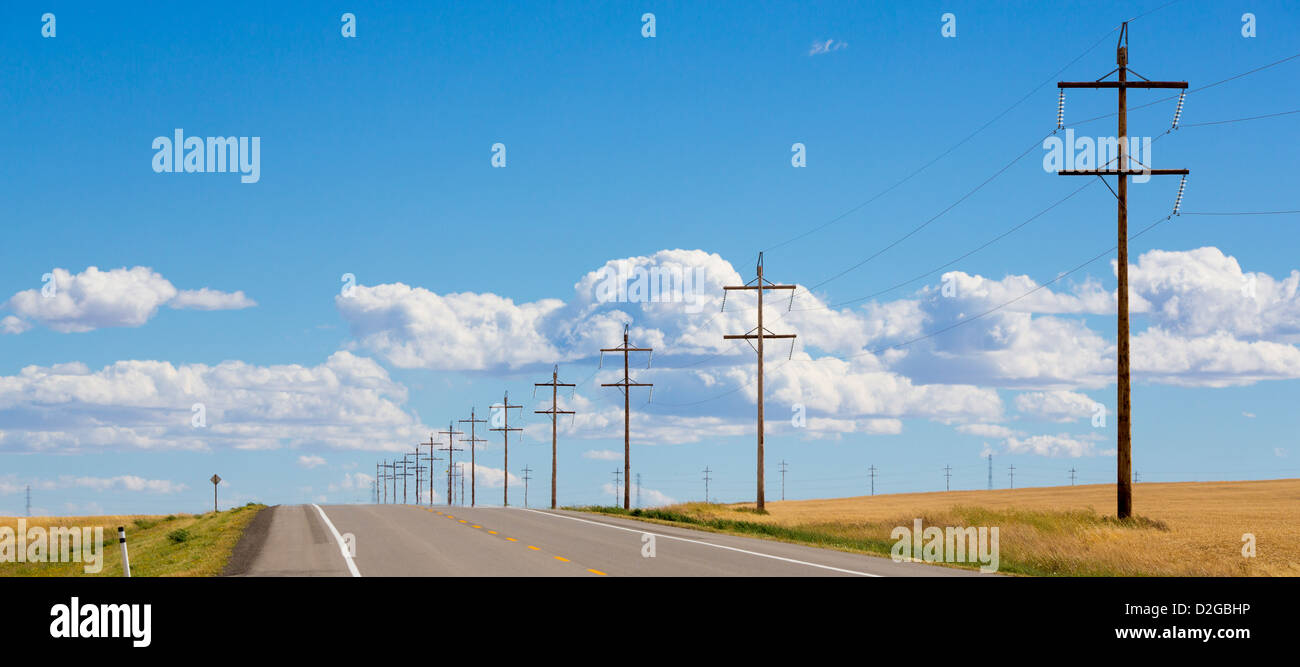 Línea de postes de electricidad en las praderas de Alberta, Canadá Foto de stock