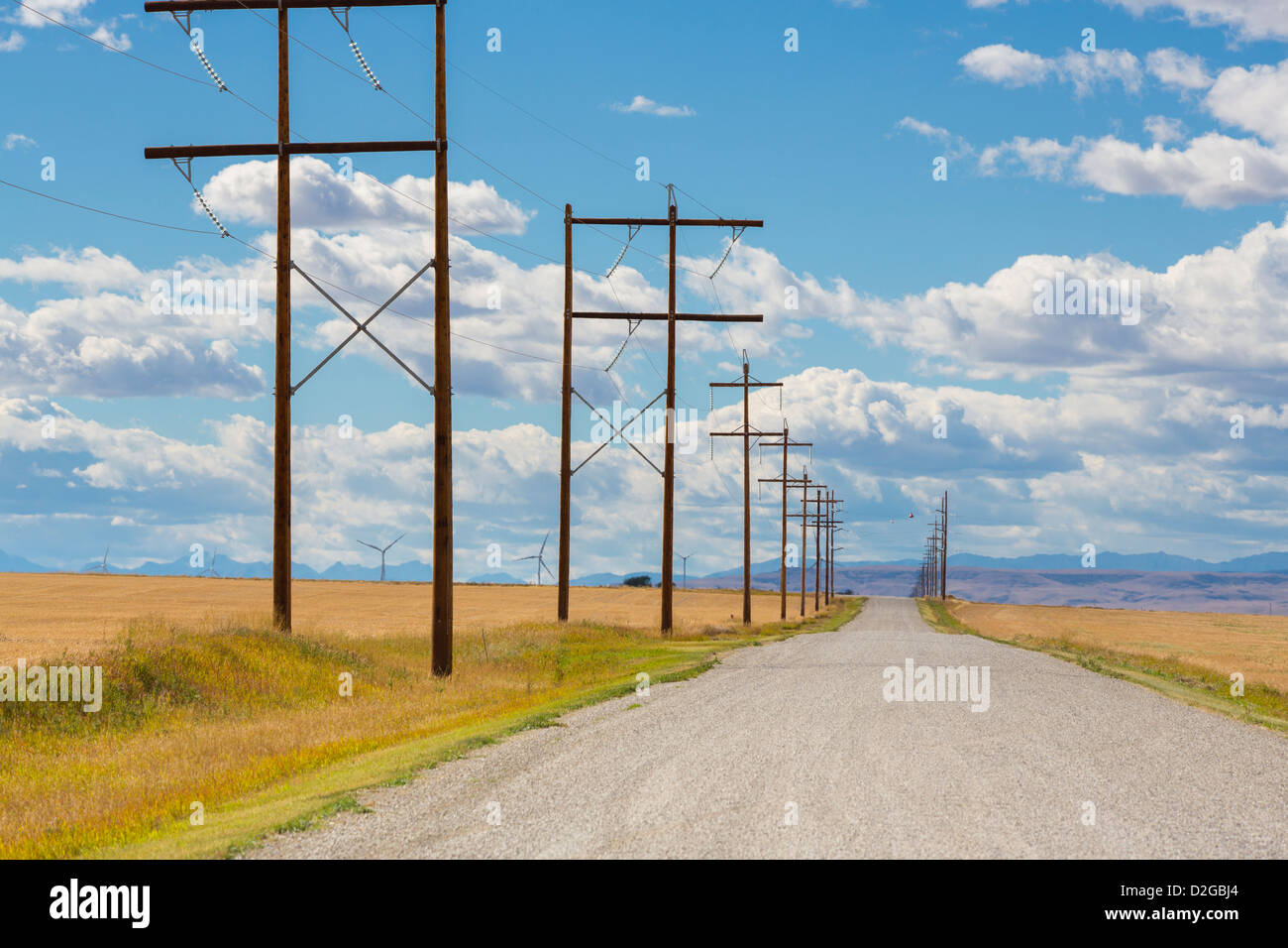 Línea de postes de electricidad en las praderas de Alberta, Canadá Foto de stock