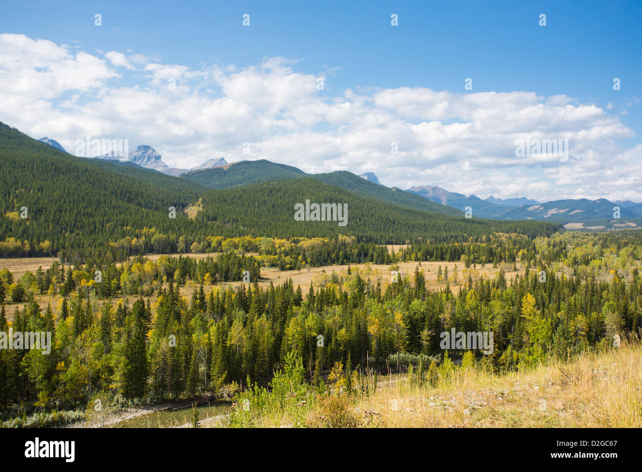 Montañas Rocosas canadienses a lo largo de la Ruta 40 en Kananaskis Country en Alberta, Canadá Foto de stock
