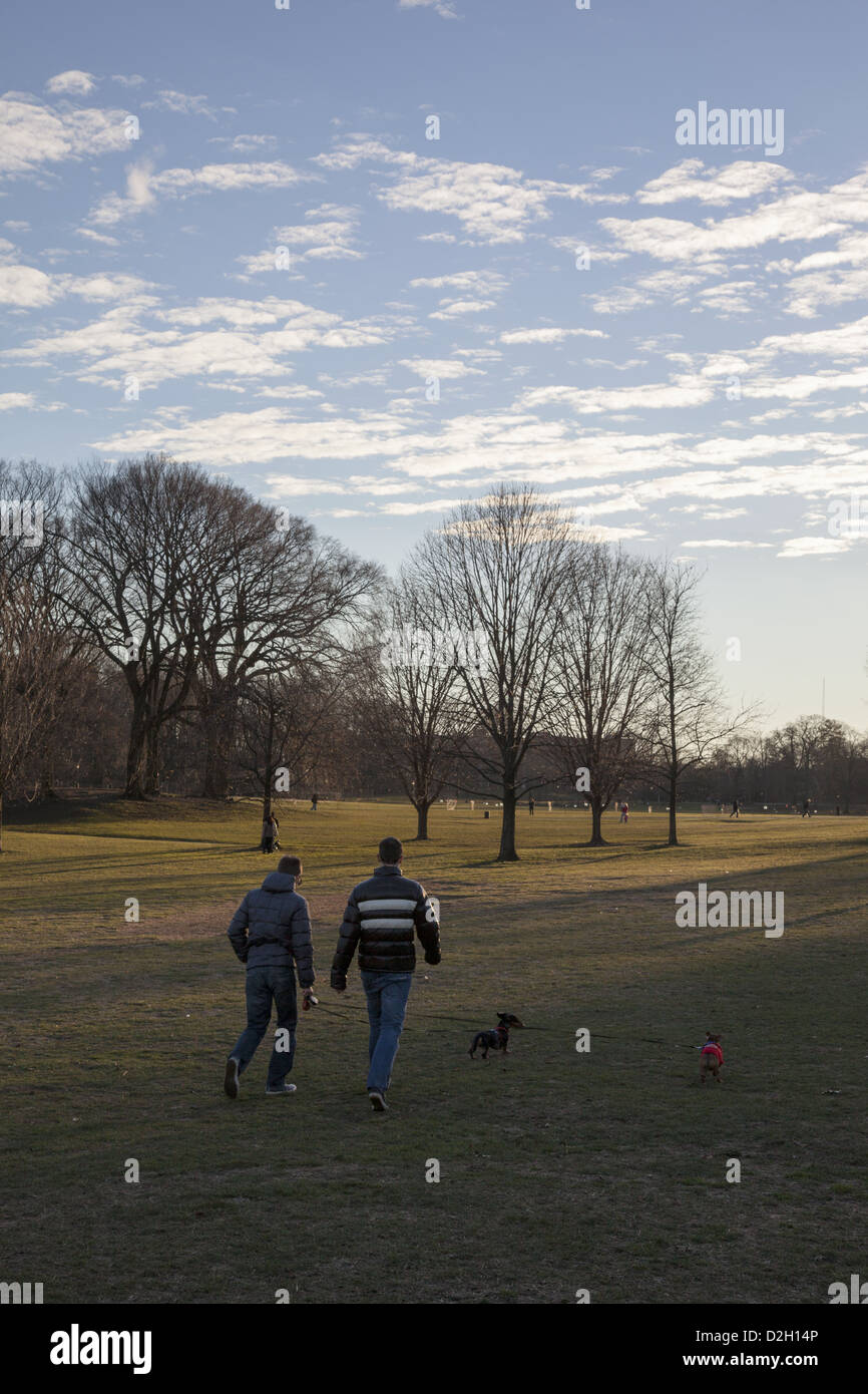 Tarde en el día en invierno a la larga pradera en Prospect Park, Brooklyn, Nueva York. La gente pasea a sus perros Foto de stock