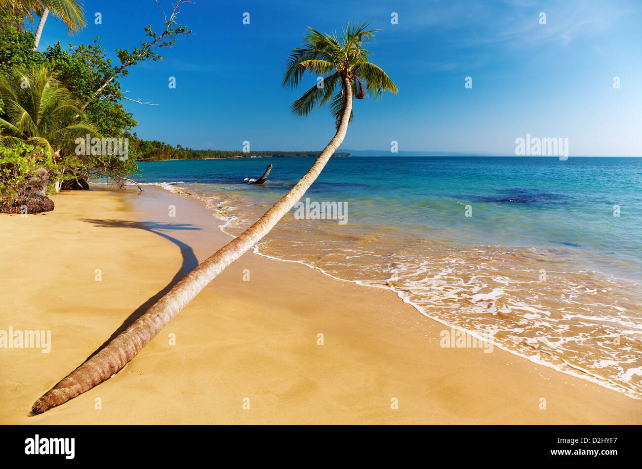 Playa Tropical, palma de coco, isla de Mak, Tailandia Foto de stock