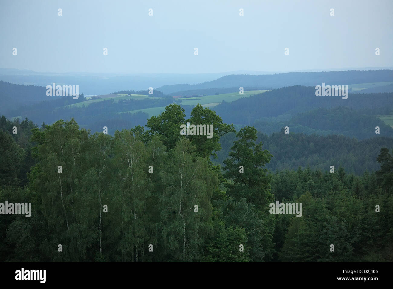 Parque natural del bosque del norte del palatinado superior fotografías
