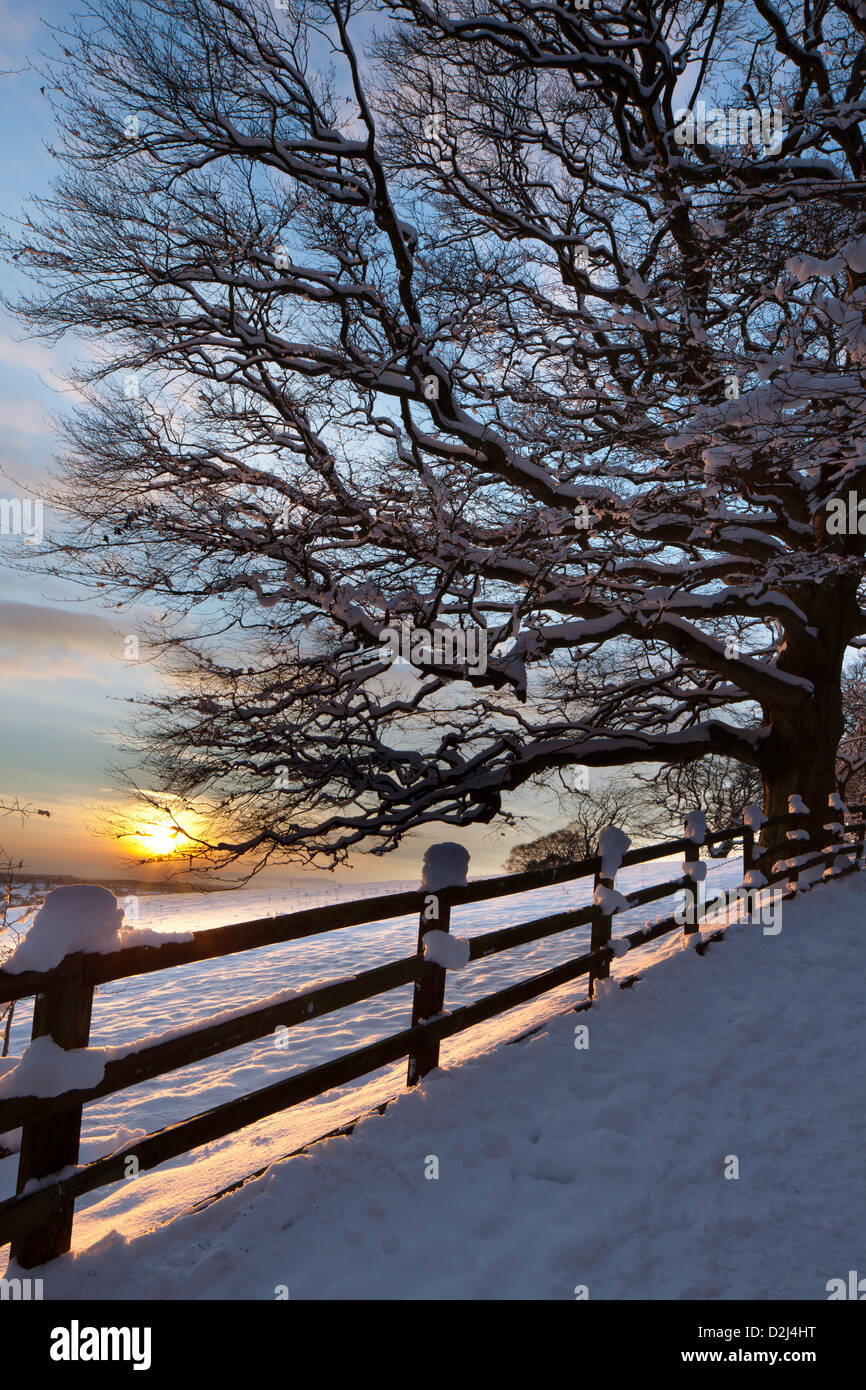 Cubierta de nieve en invierno, Waseley Sunset Hills, Worcestershire, Inglaterra, Reino Unido. Foto de stock