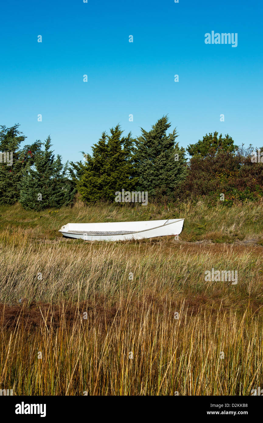 Barca de remos en Marsh hierba, Martha's Vineyard, Massachusetts, EE.UU. Foto de stock