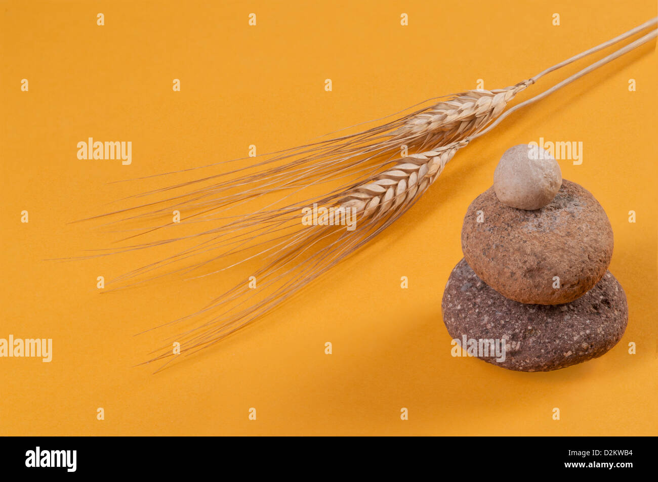 Piedras apiladas y espigas de trigo (Triticum spp.). Foto de stock