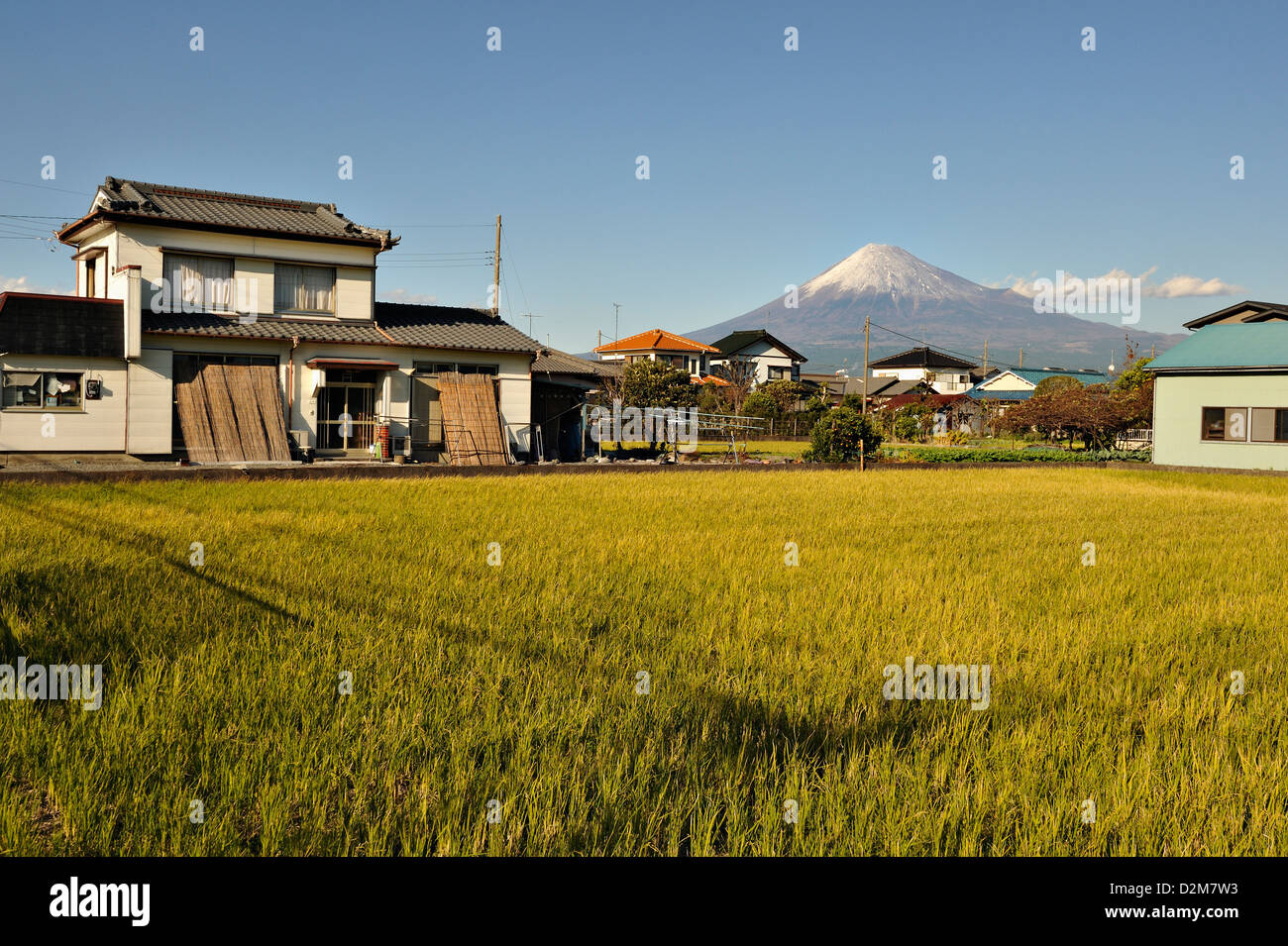 El monte Fuji visto desde los suburbios de la ciudad de Fuji, con campos de arroz y casas. Foto de stock