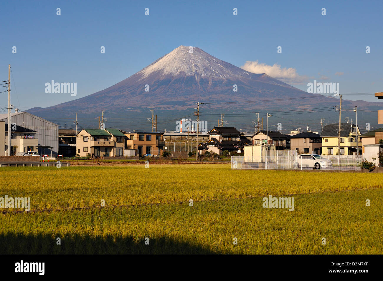 El monte Fuji visto desde los suburbios de la ciudad de Fuji, con campos de arroz y casas. Foto de stock