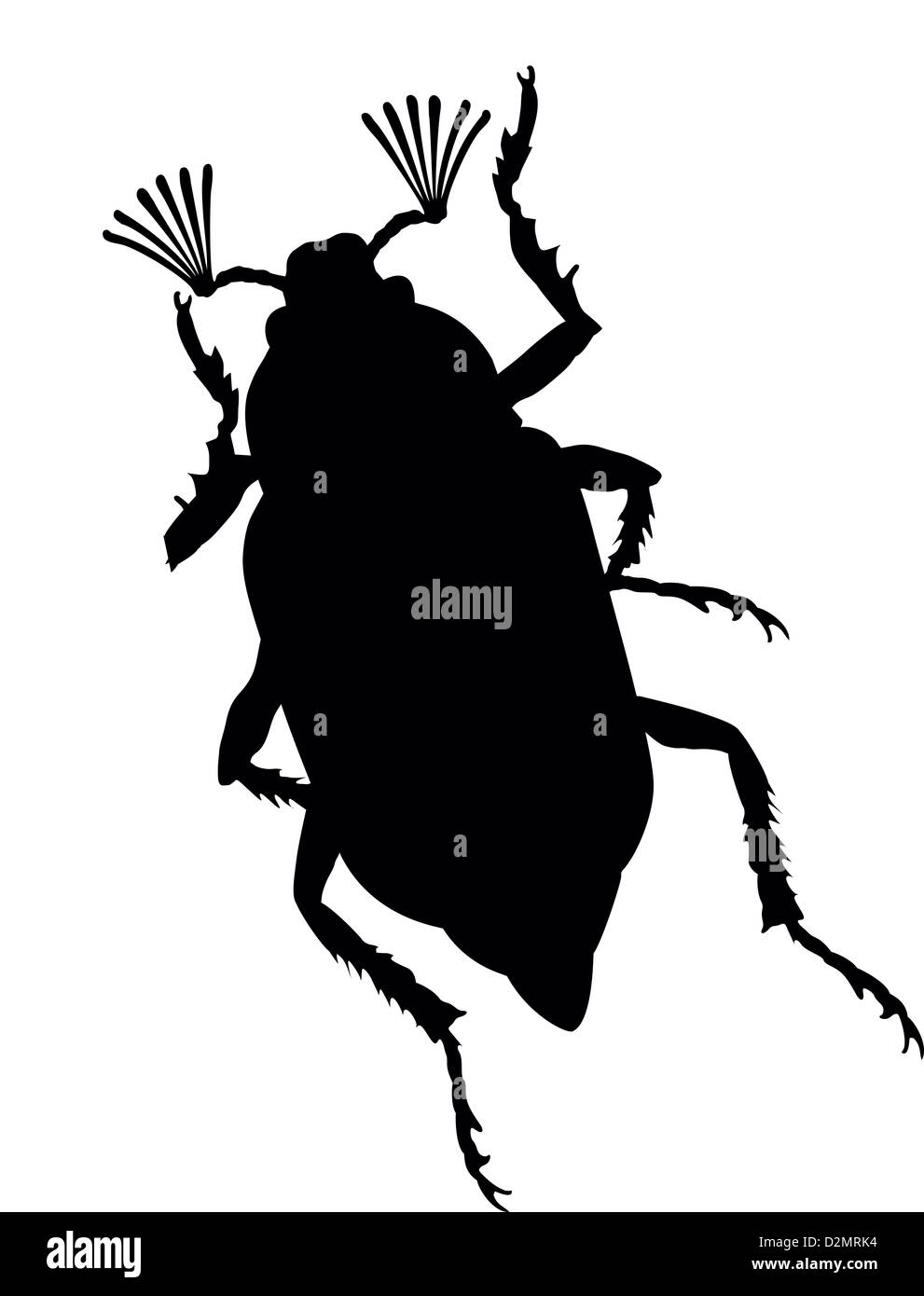 Maybug silueta vector. Foto de stock