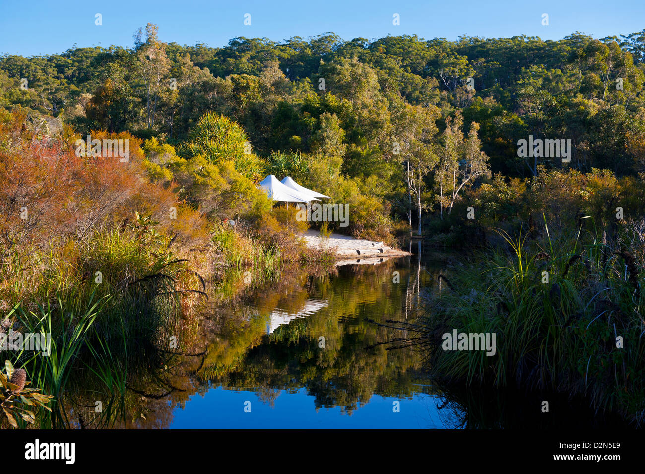 Kingfisher Resort, La Isla Fraser, Sitio del Patrimonio Mundial de la UNESCO, Queensland, Australia, el Pacífico Foto de stock