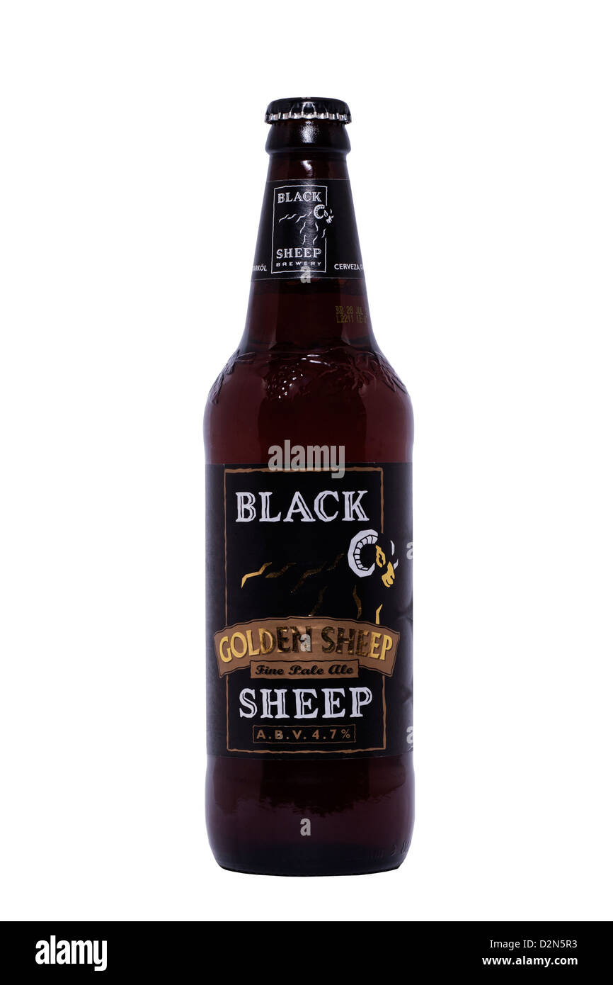 Una botella de pale ale fina de oveja negra sobre un fondo blanco. Foto de stock