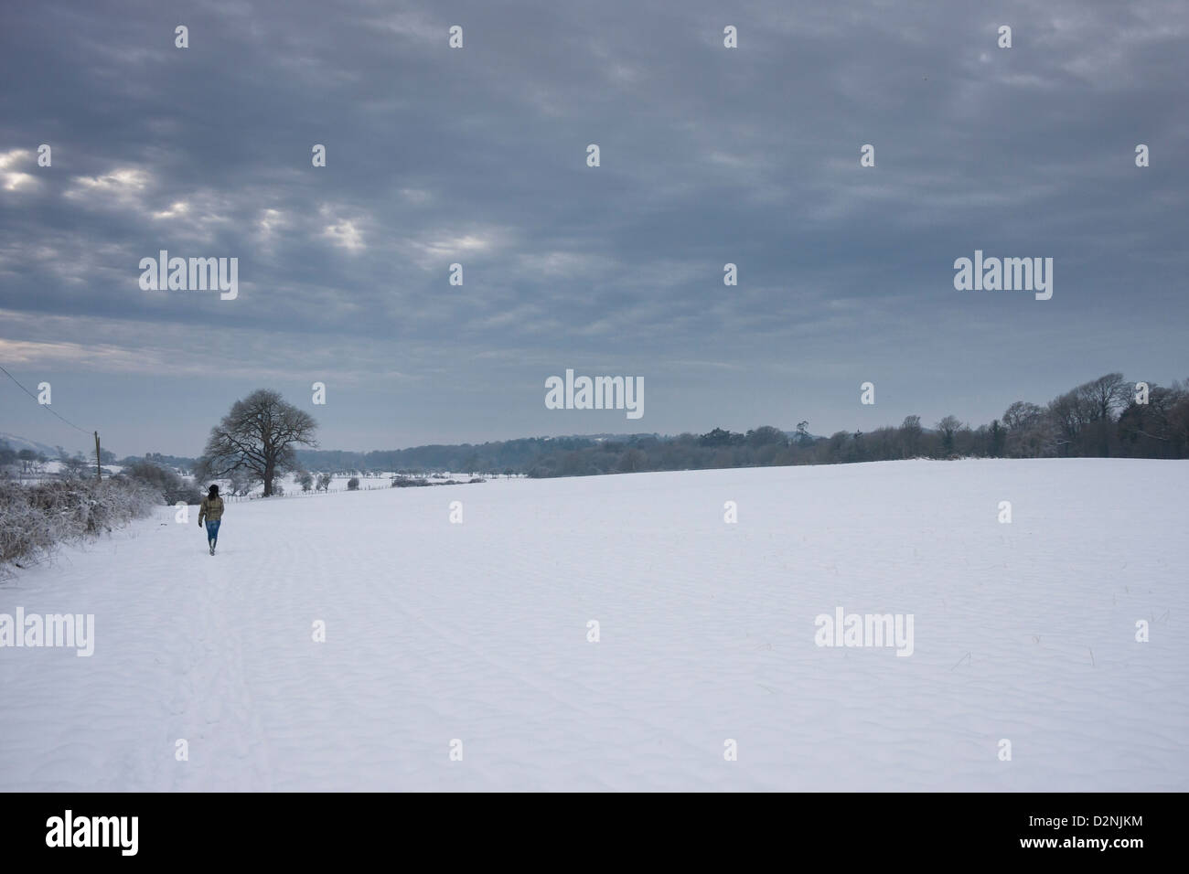 Campo lonely nieve del invierno paseo al atardecer Foto de stock