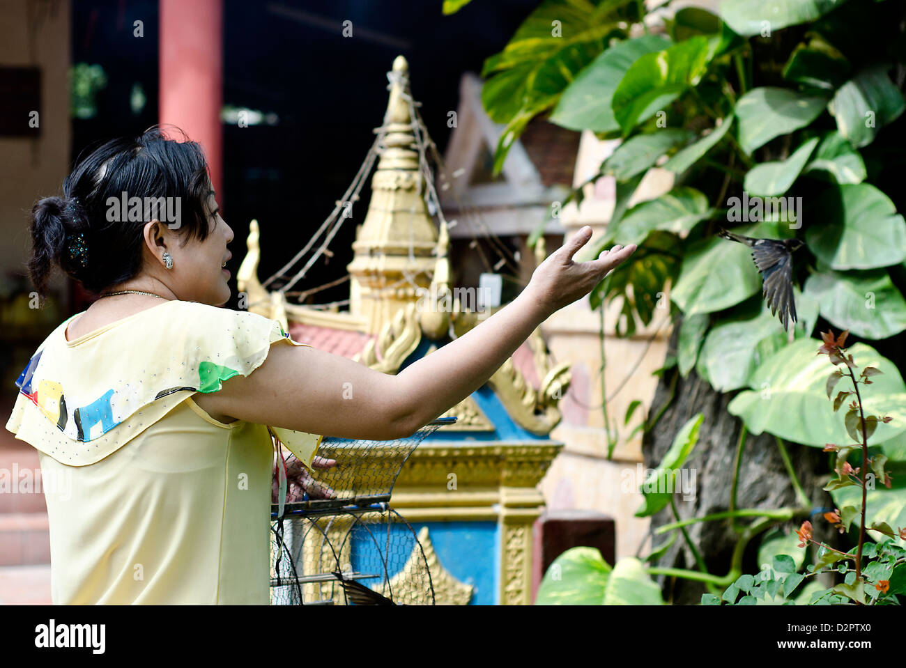 La mujer libera bird en Wat Phnom, santuario budista de Phnom Penh. Foto de stock