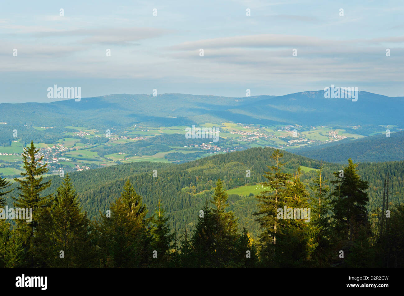 Vista del Bosque Bávaro, cerca de Furth im Wald, Baviera, Alemania, Europa Foto de stock