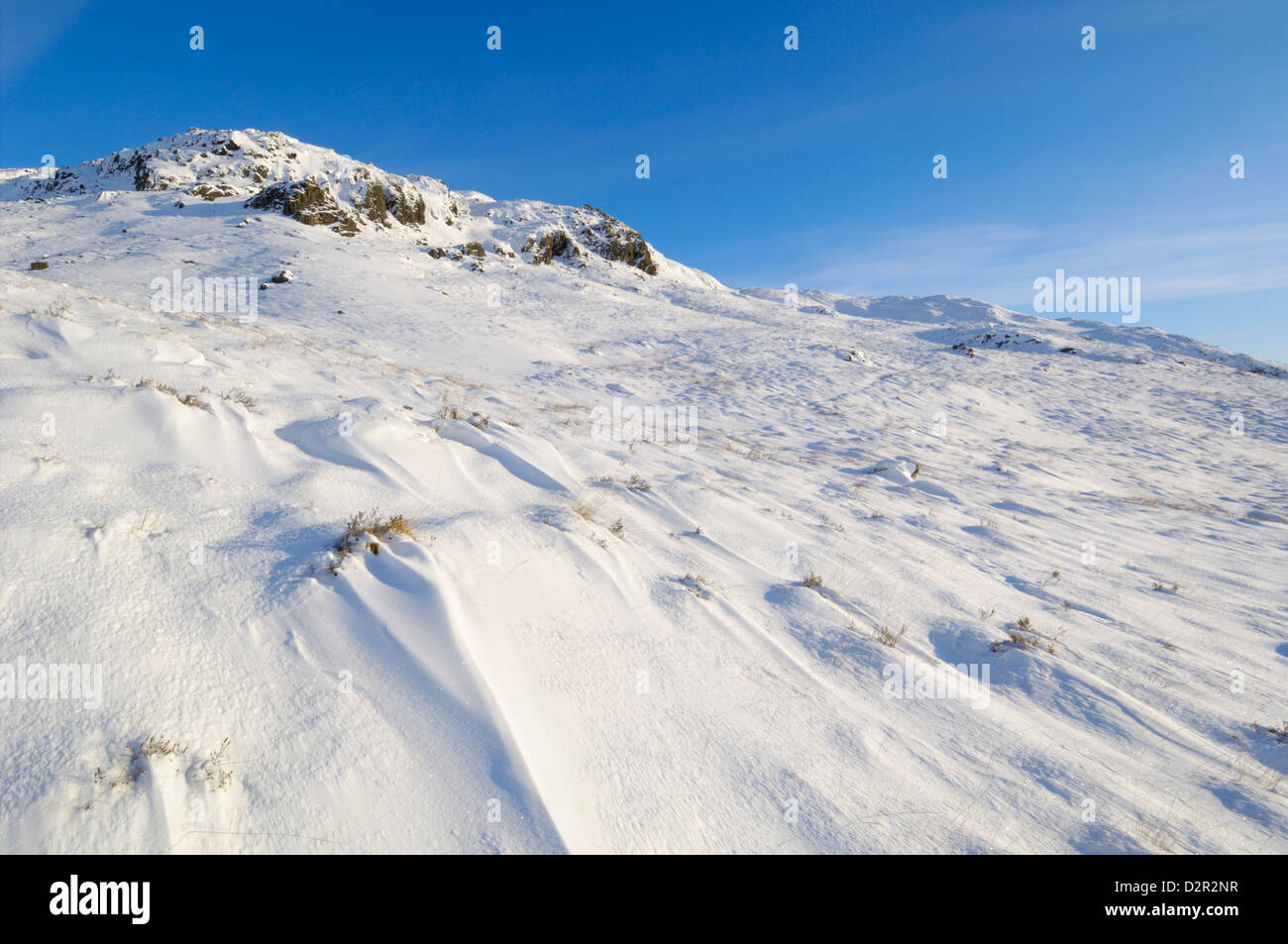 Buchan Hill, en invierno, la nieve, Galloway Hills, Dumfries y Galloway, Escocia, Reino Unido, Europa Foto de stock