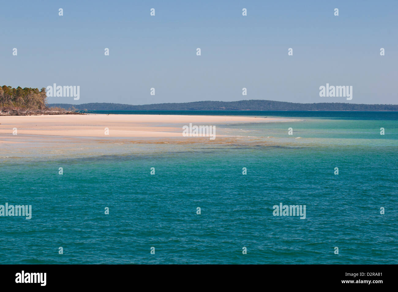 Playa solitaria en la Isla Fraser, Sitio del Patrimonio Mundial de la UNESCO, Queensland, Australia, el Pacífico Foto de stock