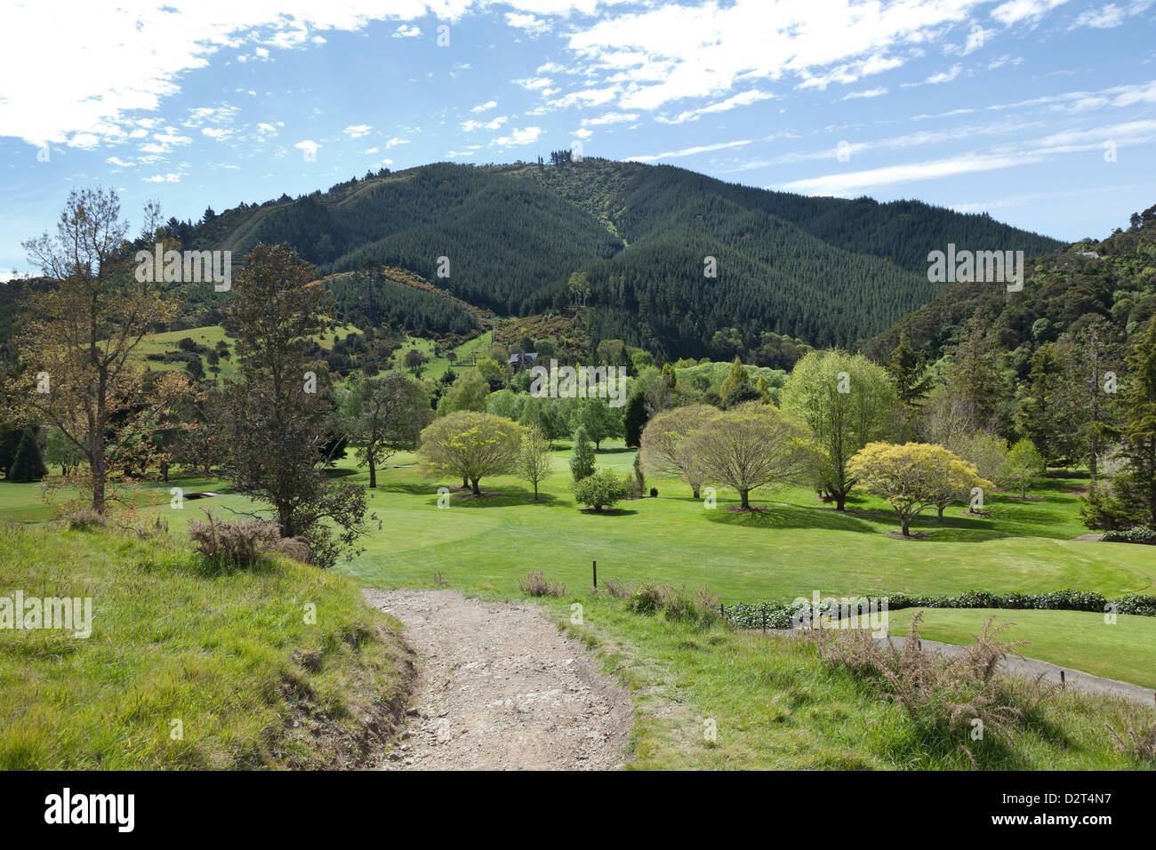Colinas de Maitai valle cerca de Nelson, Nueva Zelanda Foto de stock