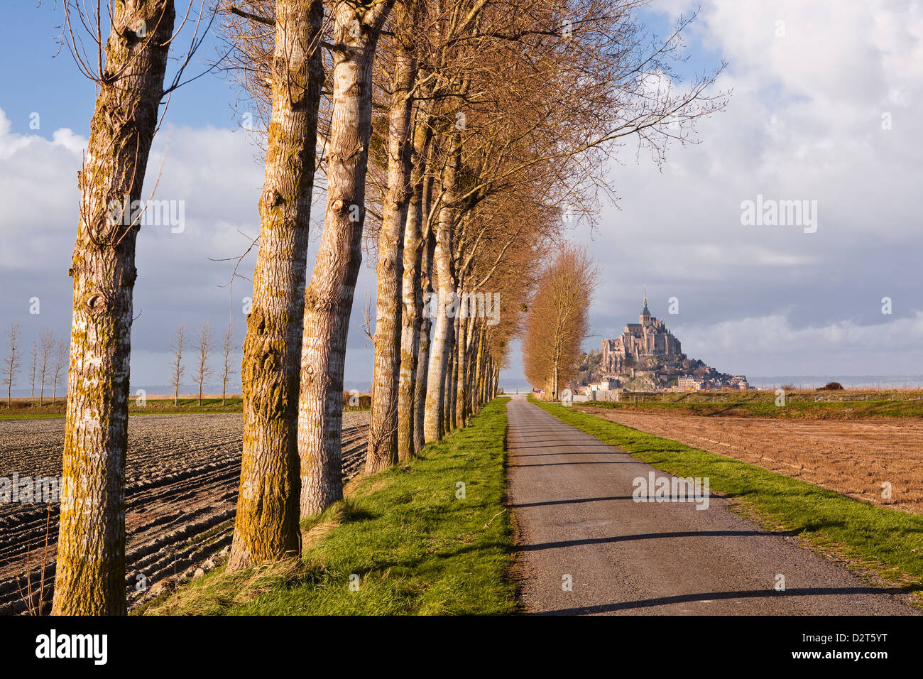 Una avenida arbolada conduce hacia Mont Saint Michel, Patrimonio Mundial de la UNESCO, Normandía, Francia, Europa Foto de stock