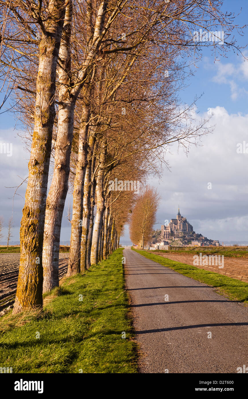 Una avenida arbolada conduce hacia Mont Saint Michel, Patrimonio Mundial de la UNESCO, Normandía, Francia, Europa Foto de stock
