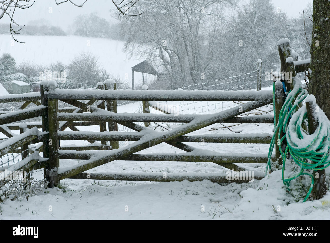 Puerta de campo y una manguera para el suministro de agua para el ganado en una tormenta de nieve fuerte, Devon, Foto de stock