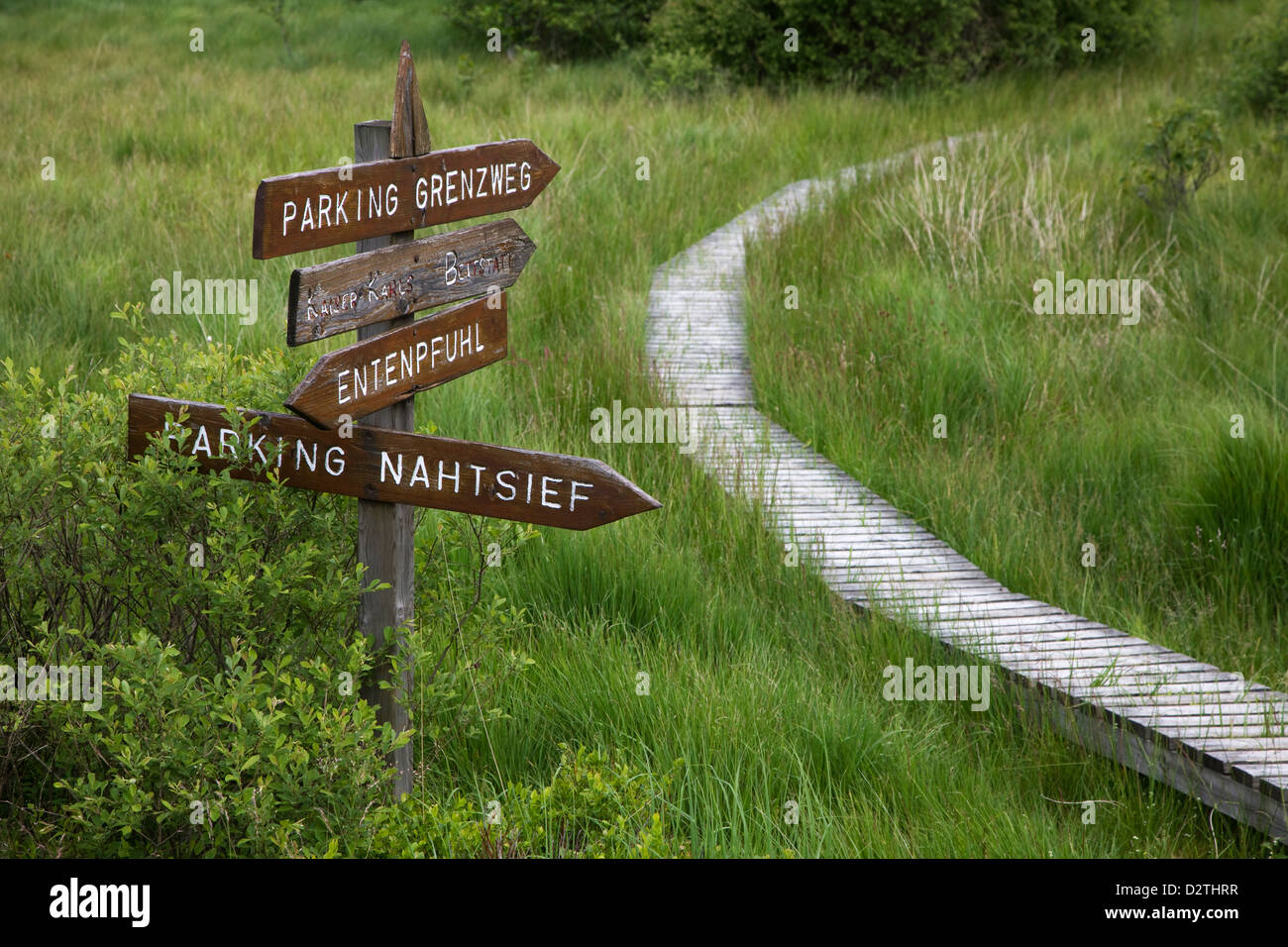 Las señales de madera y boardwalk en páramos en la reserva natural de alta Fens / Hautes Fagnes, Ardenas Belgas, Liège, Bélgica Foto de stock