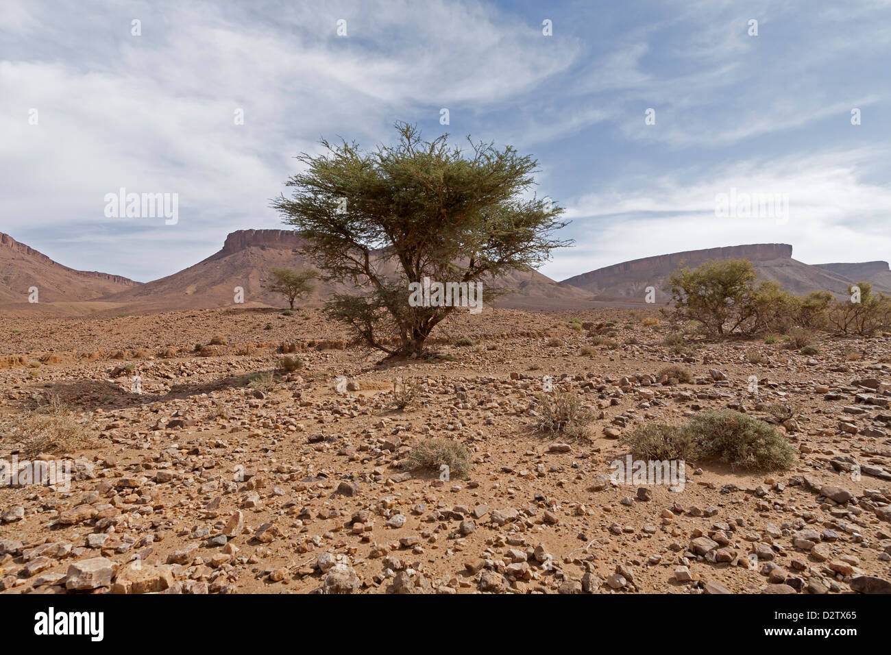 Conduciendo a lo largo de Wadi lecho rocoso con signos de fuertes lluvias en la provincia de Zagora, Anti Atas montañas Marruecos, Norte de África Foto de stock