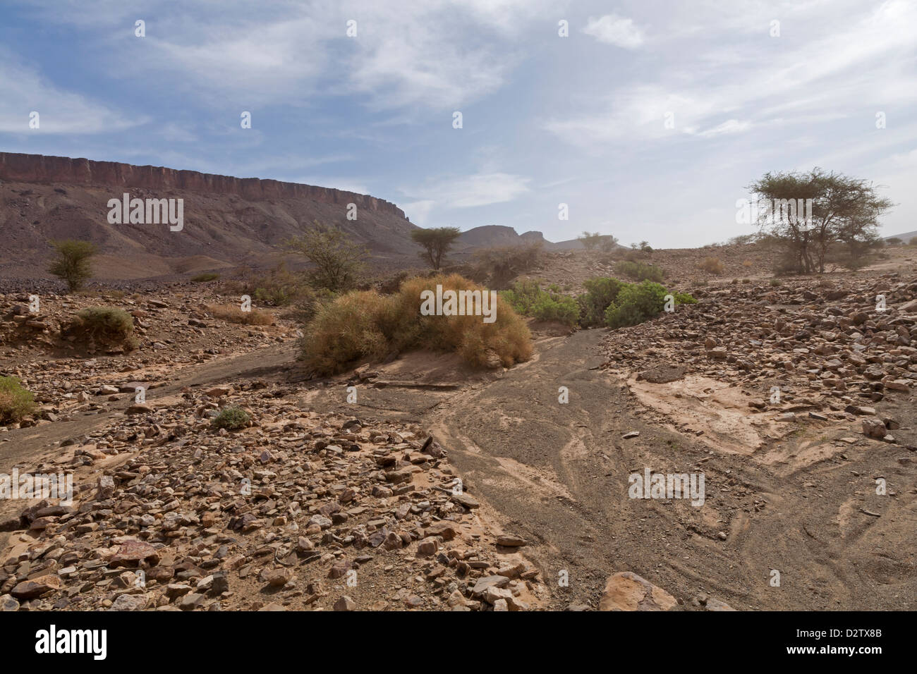 Conduciendo a lo largo de Wadi lecho rocoso con signos de fuertes lluvias en la provincia de Zagora, Anti Atas montañas Marruecos, Norte de África Foto de stock