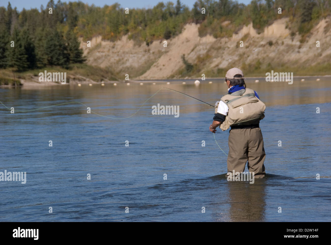Un pescador con mosca vista fundición a la trucha marrón en una sección del tailwater el Ciervo, Río, Alberta, Canadá. Foto de stock