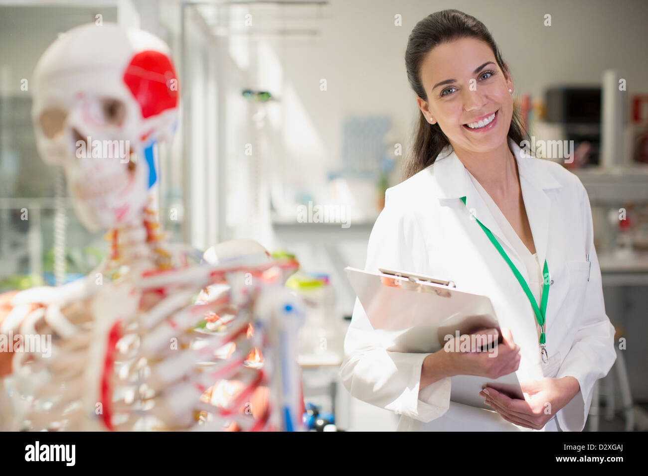 Retrato de sonriente científico con modelo anatómico y el portapapeles en el laboratorio Foto de stock