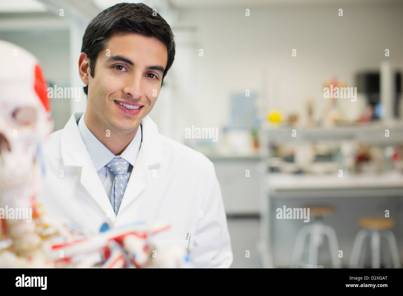 Retrato de sonriente científico con modelo anatómico n laboratorio Foto de stock